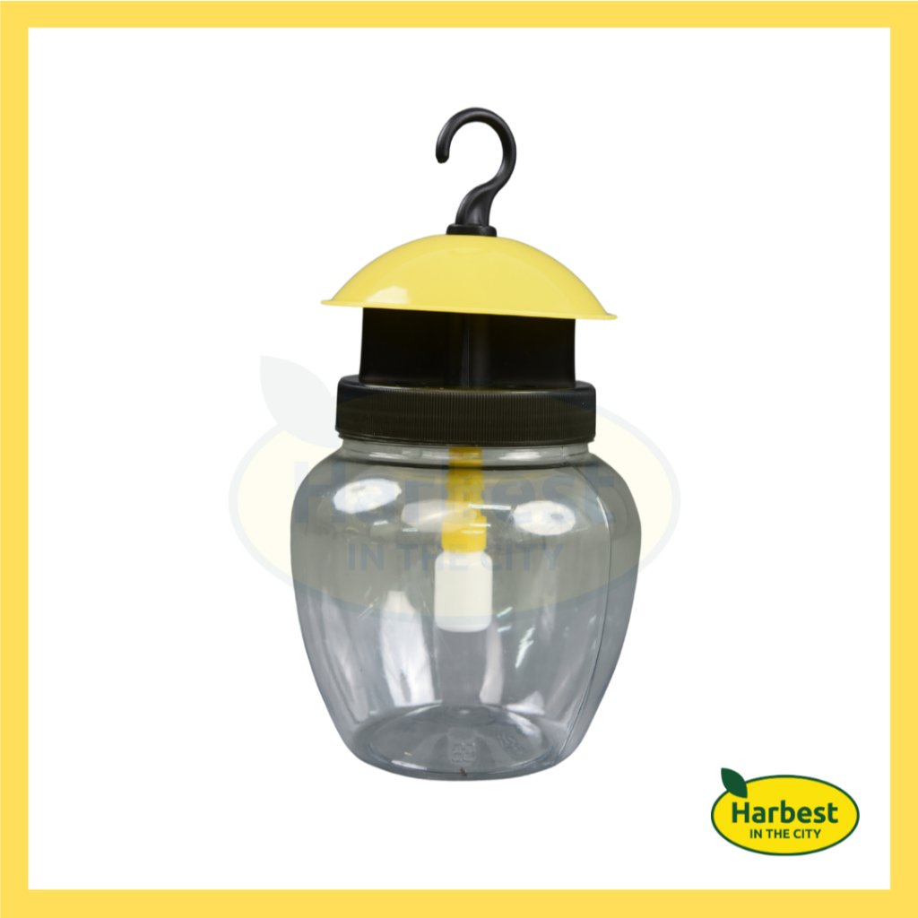 Ph 11134207 7rask m4iiyuw93it51a.jpeg