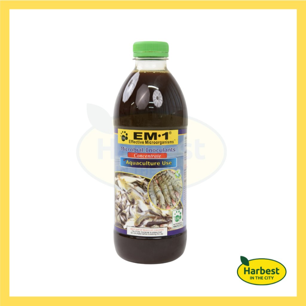 Ph 11134207 7rask m4ik6yxvaxgr26.jpeg