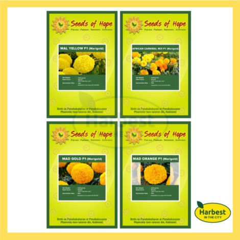 Ph 11134207 7rask m4qyx9viny7t40.jpeg