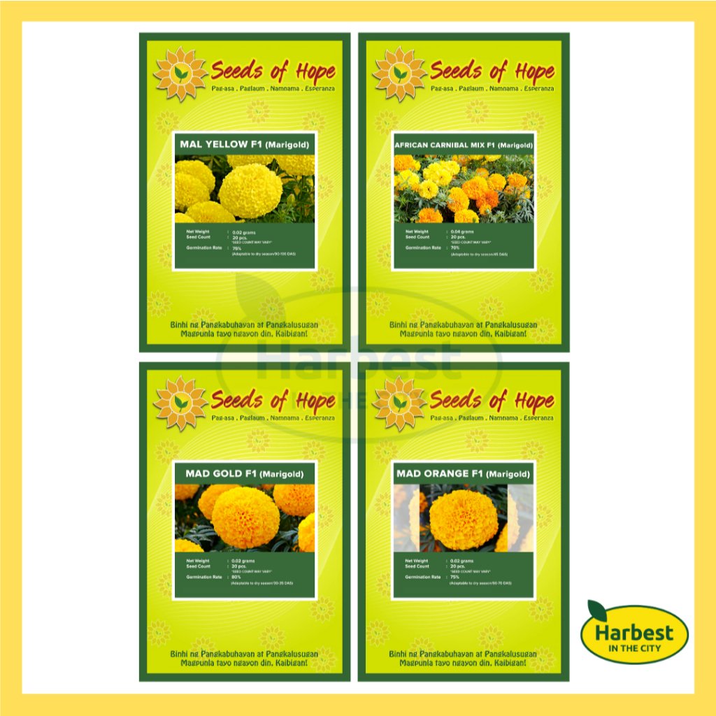 Ph 11134207 7rask m4qyx9viny7t40.jpeg