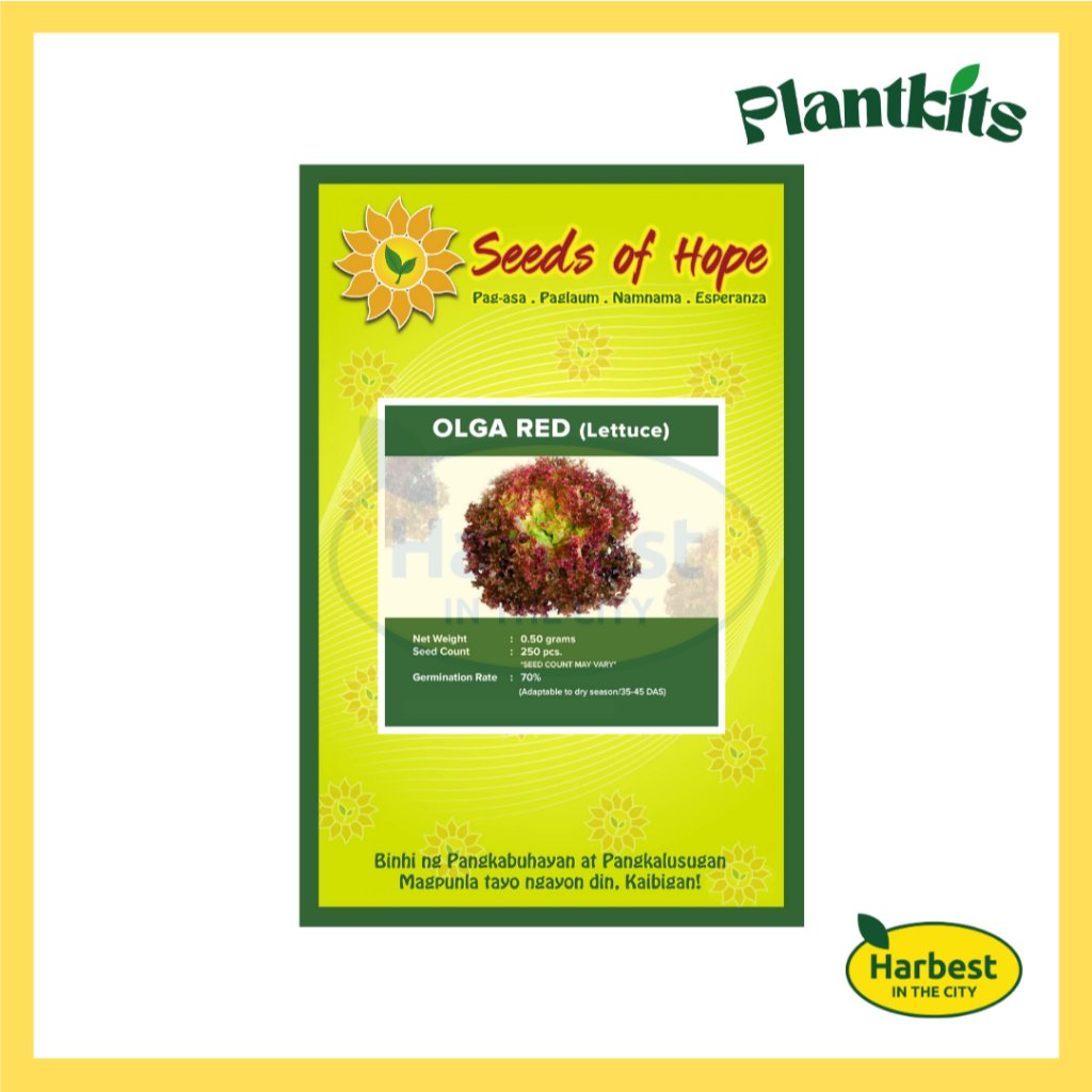 Ph 11134207 7rask m4r99m8b0iy346.jpeg