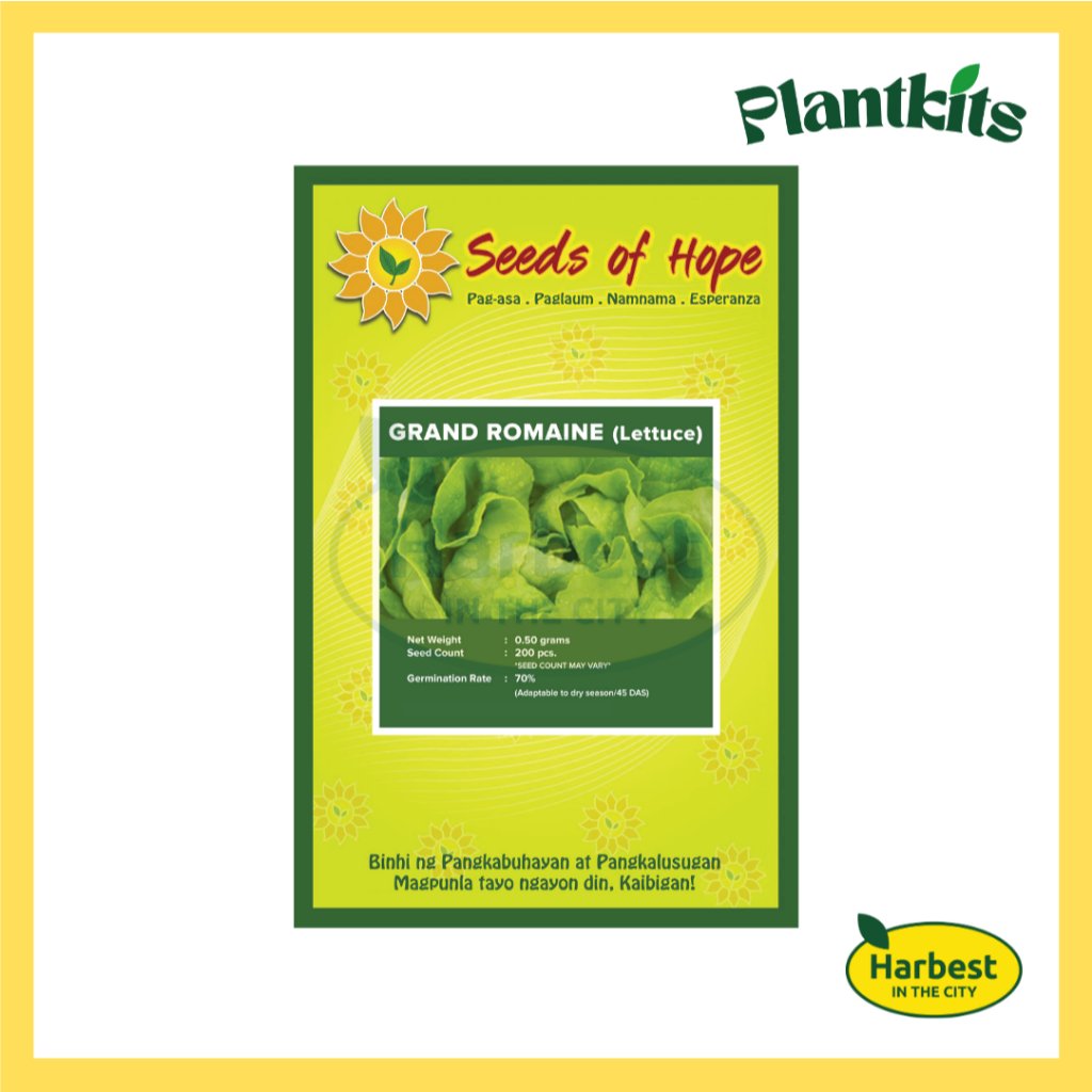 Ph 11134207 7rask m4r99m8b4qnt9a.jpeg