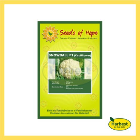 Ph 11134207 7rask m55ikzzmuc6249.jpeg