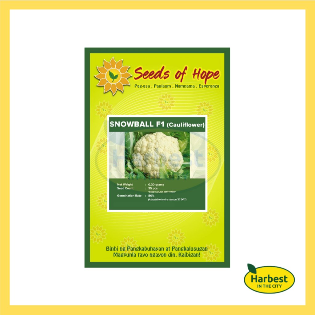 Ph 11134207 7rask m55ikzzmuc6249.jpeg