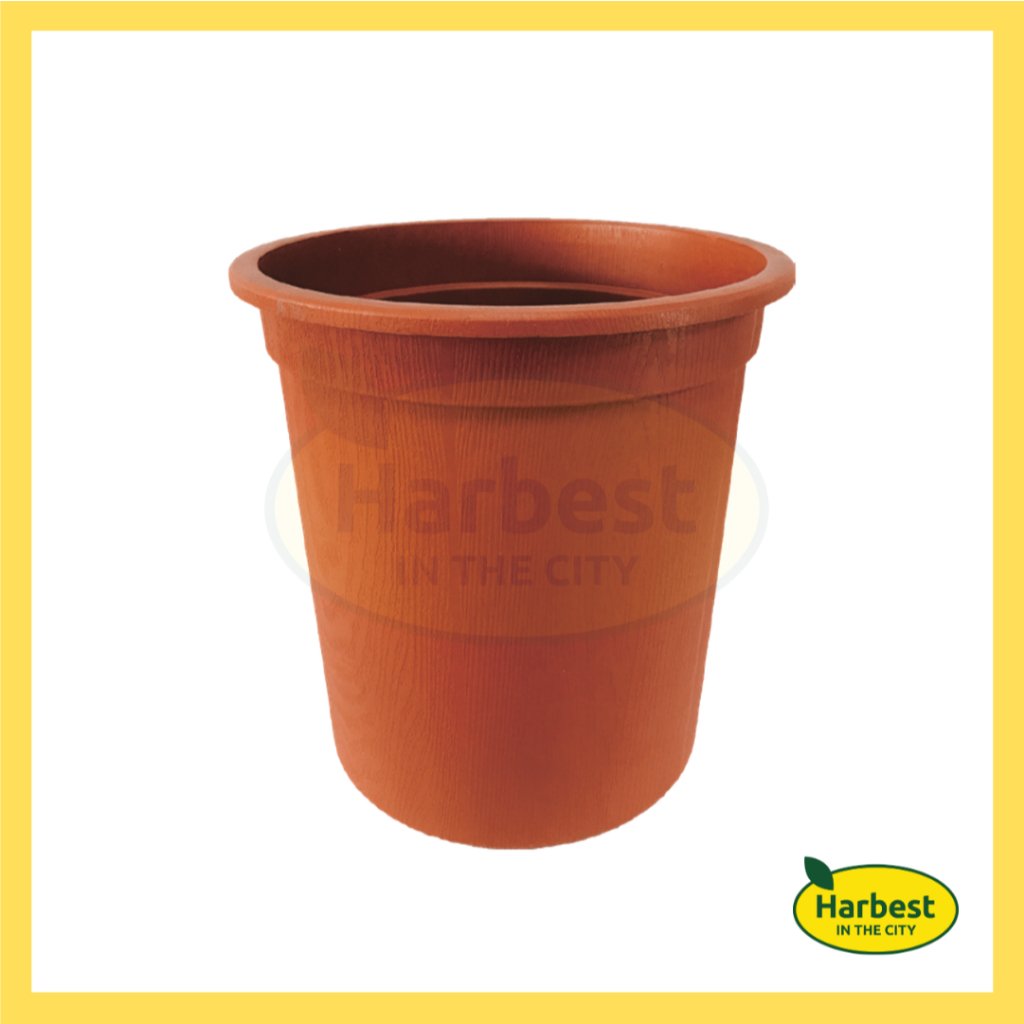 Ph 11134207 7rask m5axs0u9pif6f4.jpeg