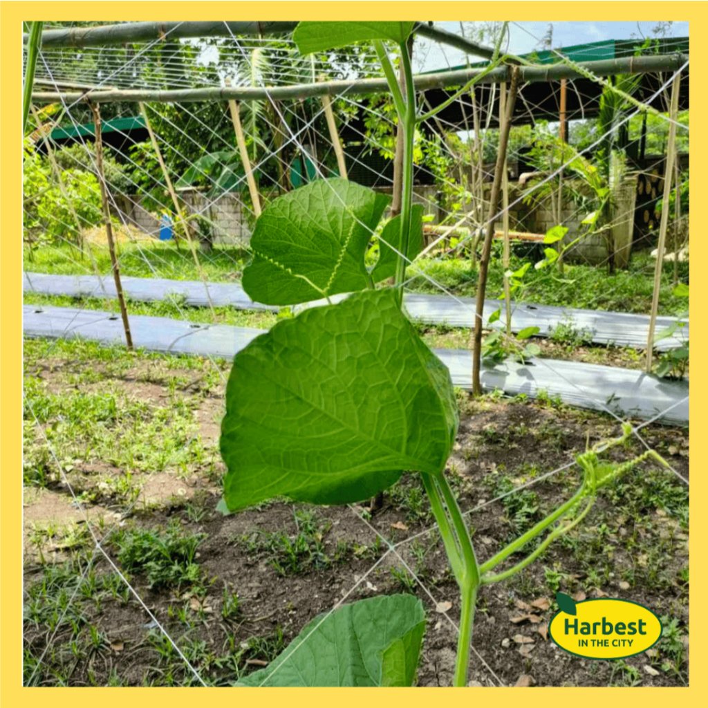 Ph 11134207 7rask m64vodogjbybec.jpeg