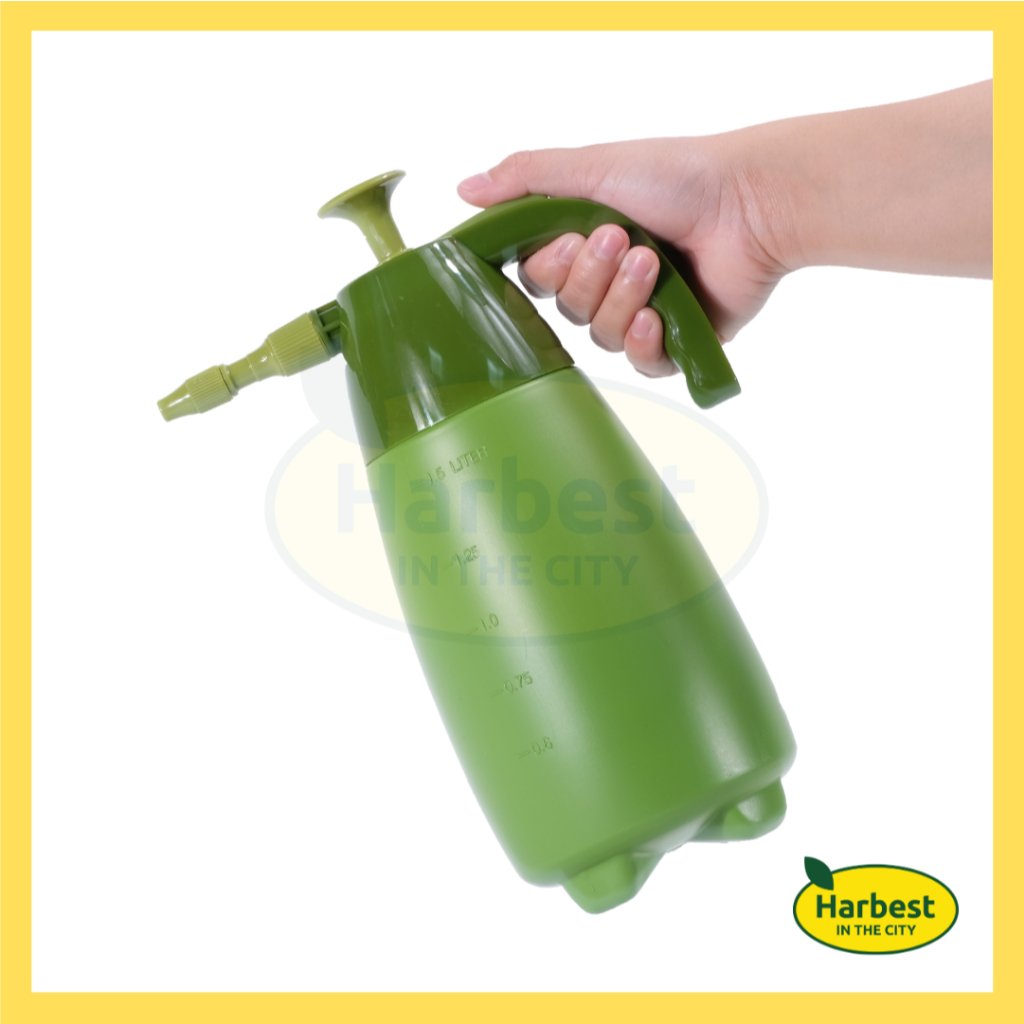 Ph 11134207 7rask m6doukpl9xjubc.jpeg