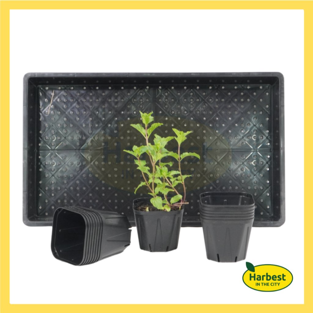 ph-11134207-7rask-m8e60t6mdd3y8e.jpeg Ph 11134207 7rask m8e60t6mdd3y8e.jpeg