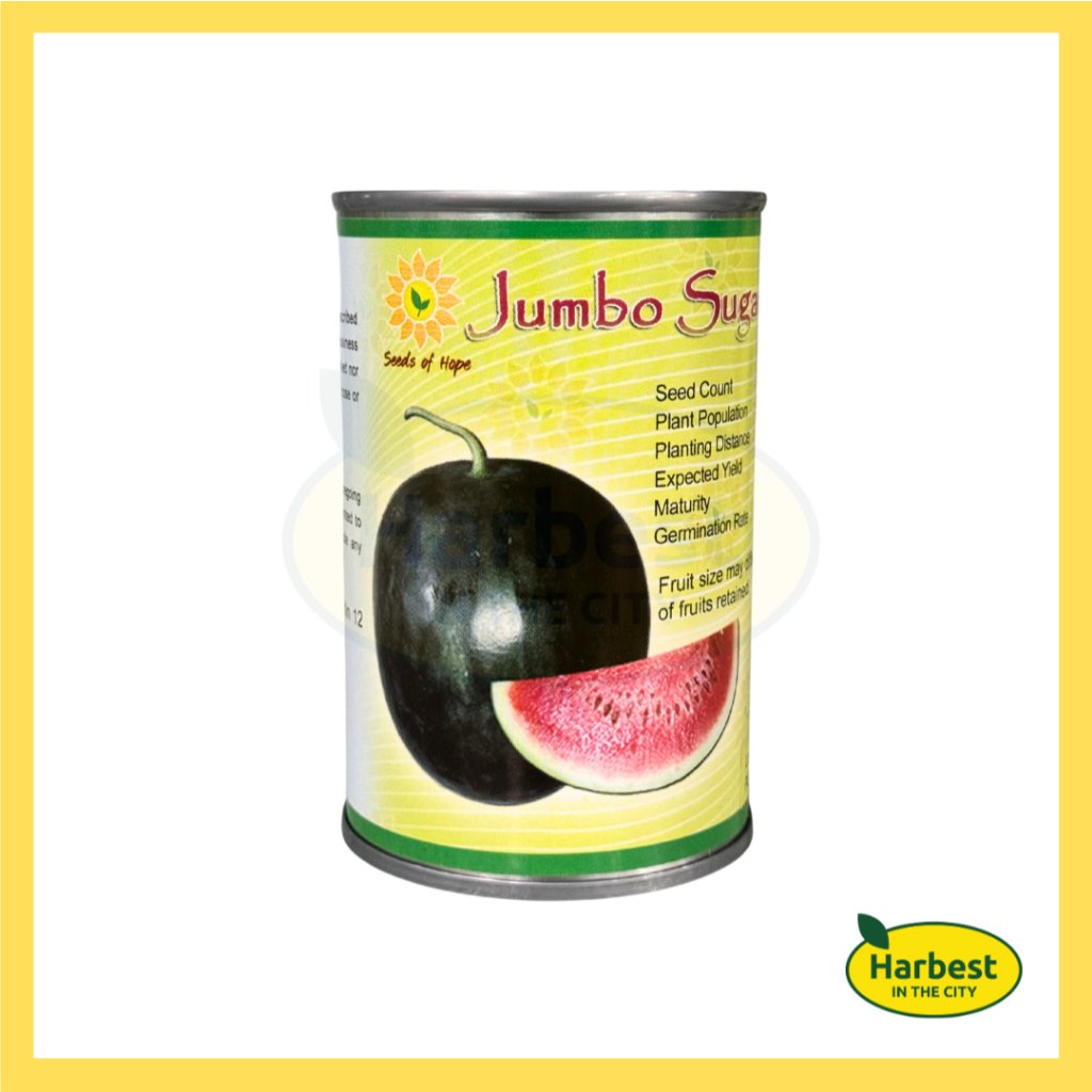 Ph 11134207 7rask m8e8p1s6e2chd8.jpeg