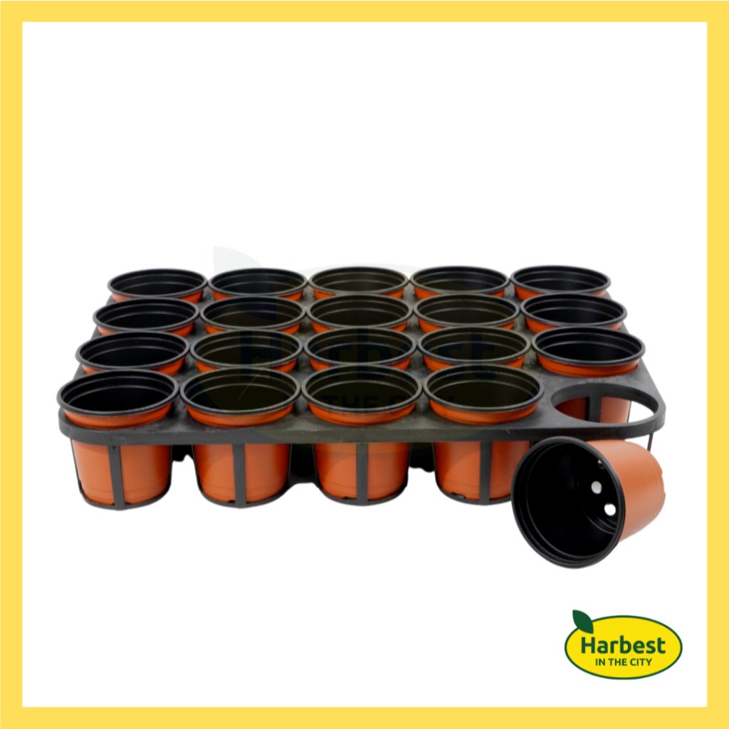 Ph 11134207 7rask m8ee11urdc4ecc.jpeg