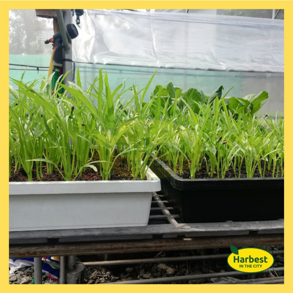 Ph 11134207 7rask m8zs3wkxyptf37.jpeg