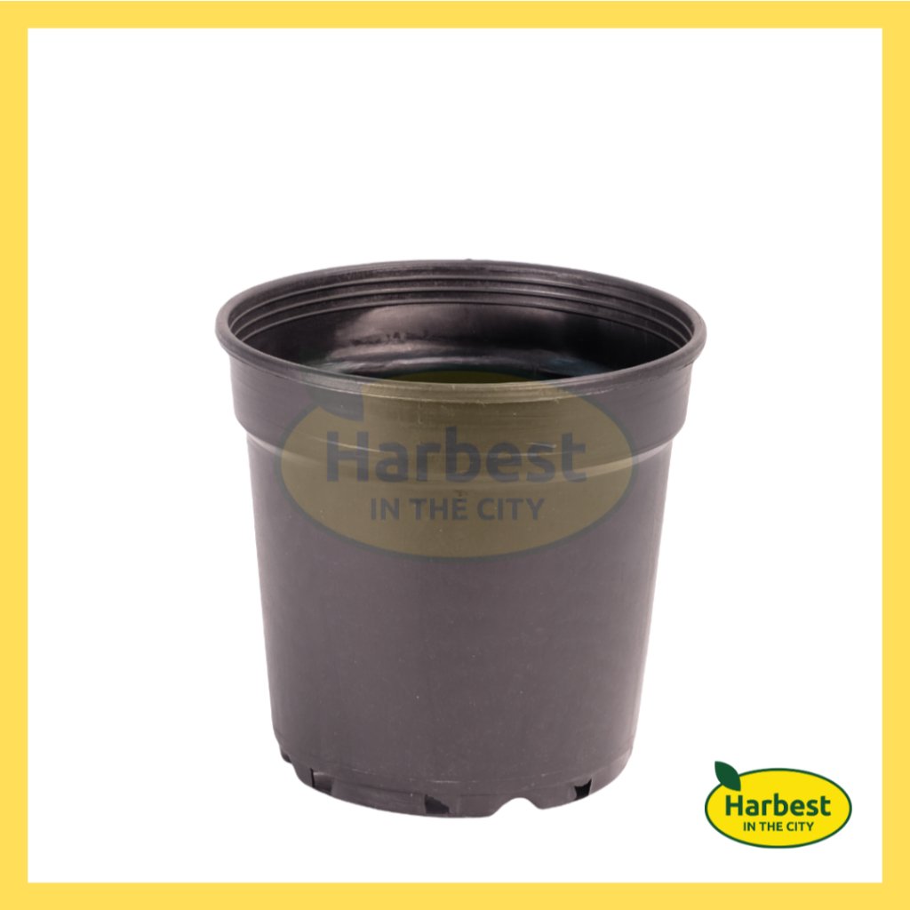 Ph 11134207 7rask m944wjif89k14f.jpeg