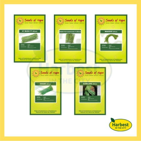 Ph 11134207 7rasl m3le48ej515jb9.jpeg