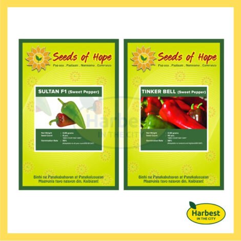 Ph 11134207 7rasl m3lfp47rfi1je3.jpeg