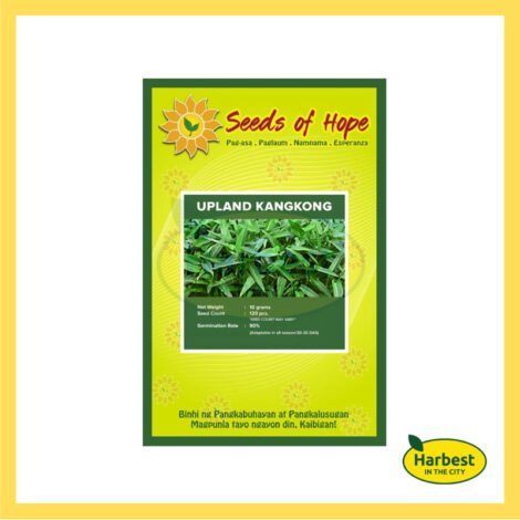 Ph 11134207 7rasl m3lfvlzsb3tjf7.jpeg