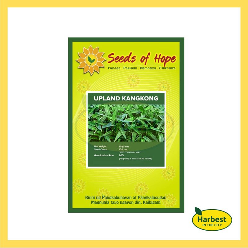 Ph 11134207 7rasl m3lfvlzsb3tjf7.jpeg