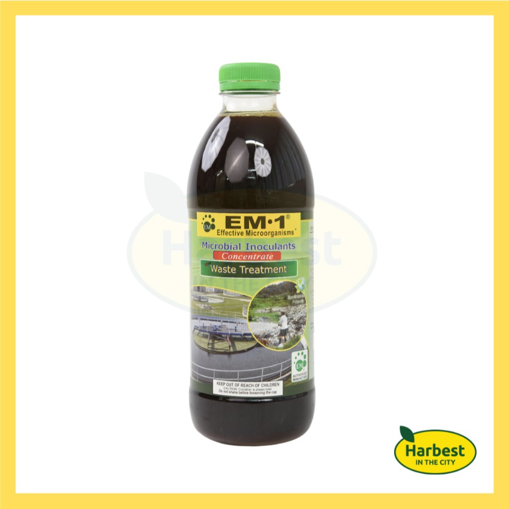 Ph 11134207 7rasl m4ik6yxv9iwbf6.jpeg