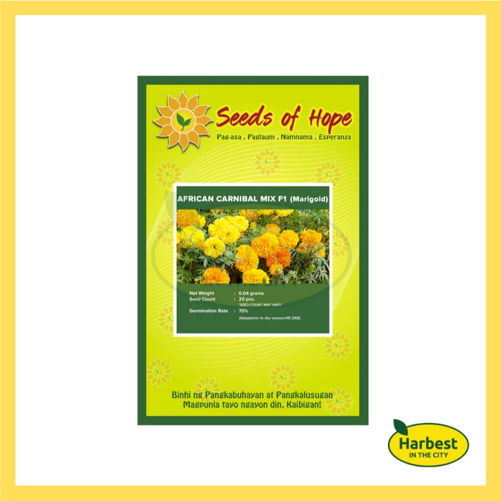 Ph 11134207 7rasl m4qyxmonx4ah53.jpeg