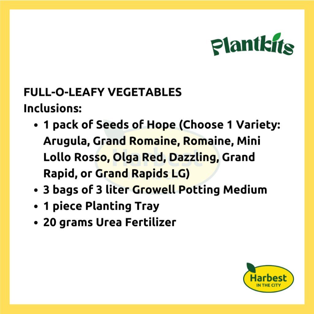 Ph 11134207 7rasl m4r8h8shrmd5bd.jpeg