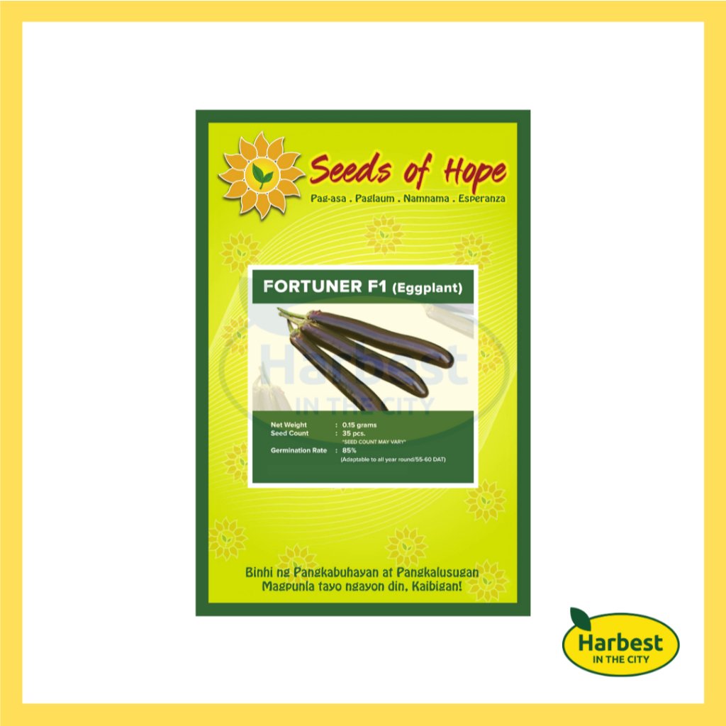 Ph 11134207 7rasl m4sdxi3l4x3ie8.jpeg