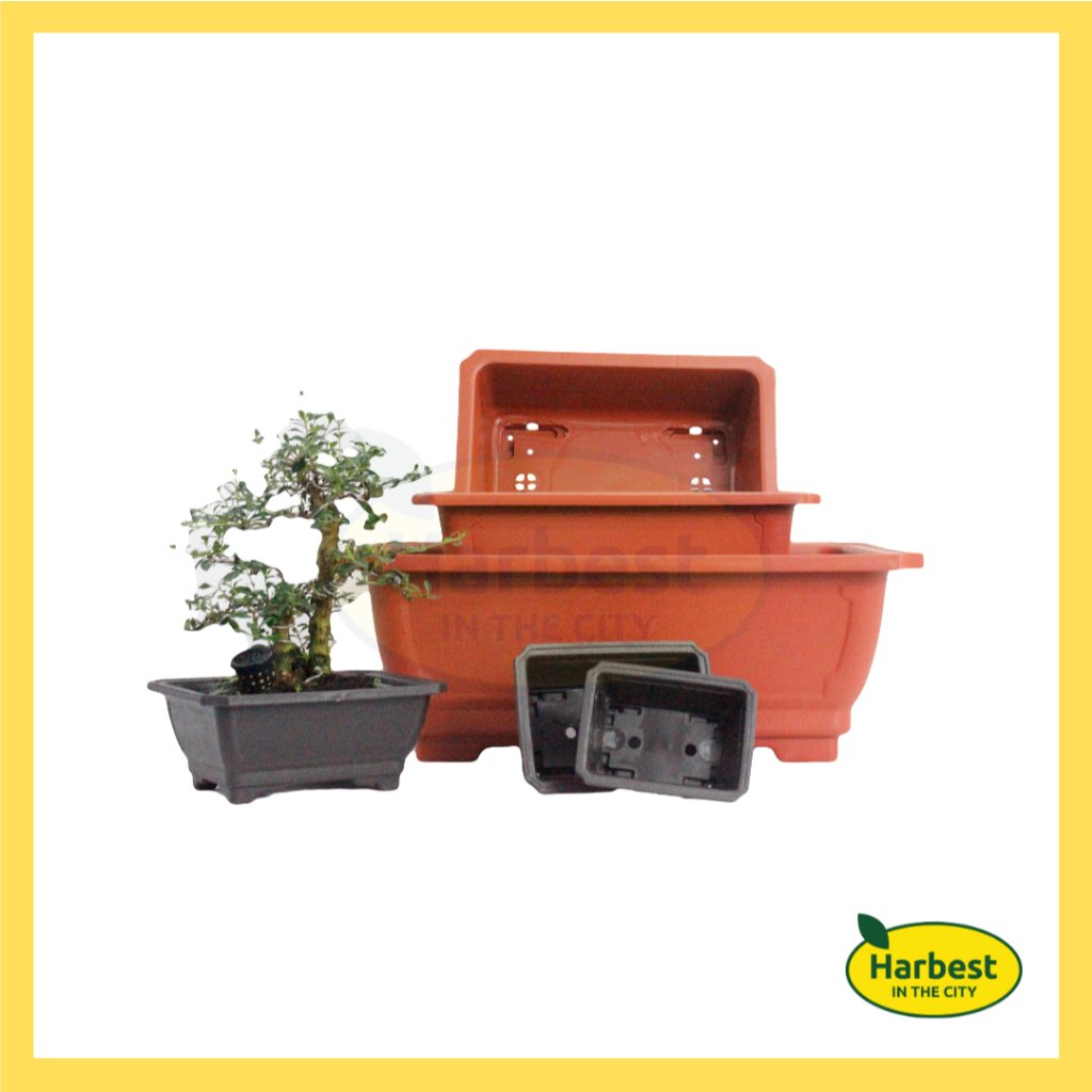 Ph 11134207 7rasl m53zb27g3n0j77.jpeg