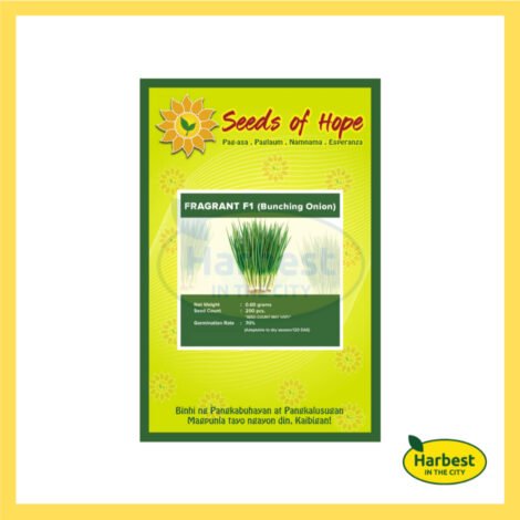 Ph 11134207 7rasl m5433cl67guy3f.jpeg