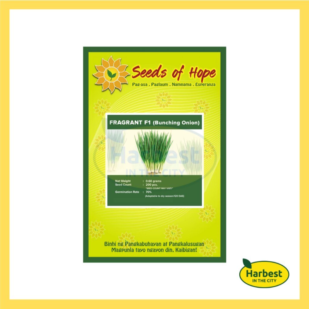 Ph 11134207 7rasl m5433cl67guy3f.jpeg