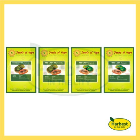 Ph 11134207 7rasl m59sr067gvbib3.jpeg