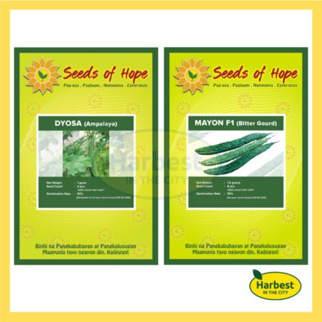 Ph 11134207 7rasl m5b98m6dosciad.jpeg