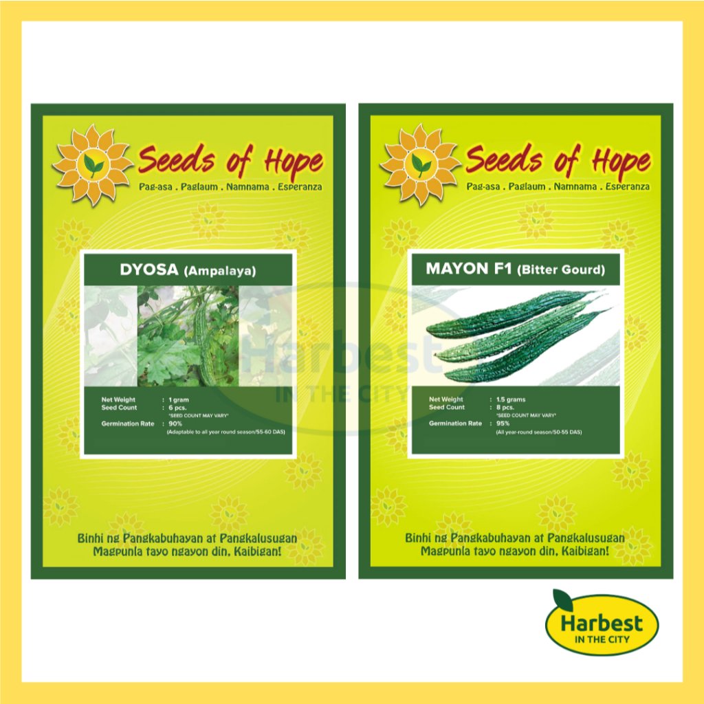 Ph 11134207 7rasl m5b98m6dosciad.jpeg