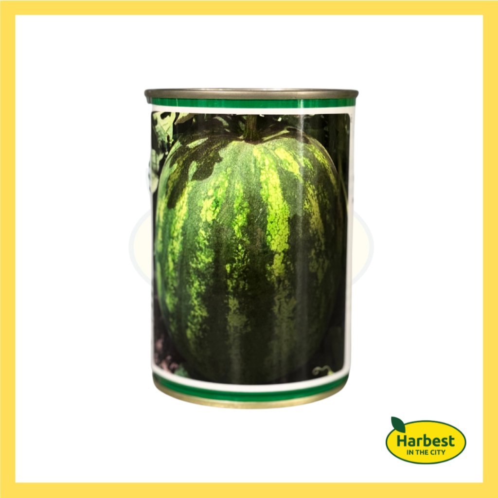 Ph 11134207 7rasl m8e8p1q8fi3l03.jpeg