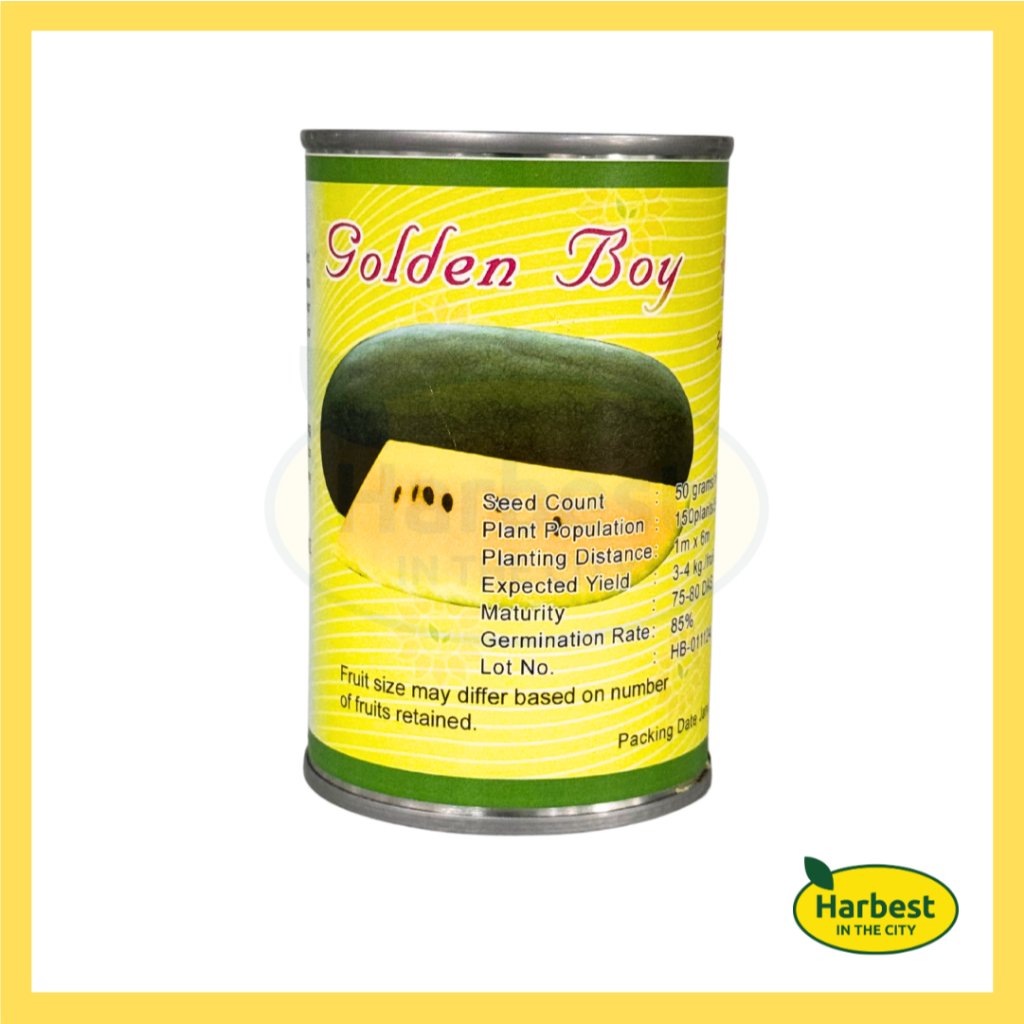 Ph 11134207 7rasl m8e8p1r2ea0j67.jpeg