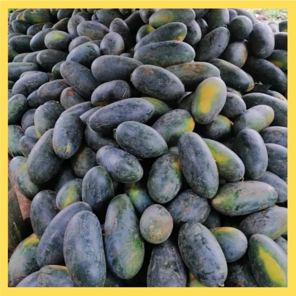 Ph 11134207 7rasl m8e8p1xg4xtf34.jpeg