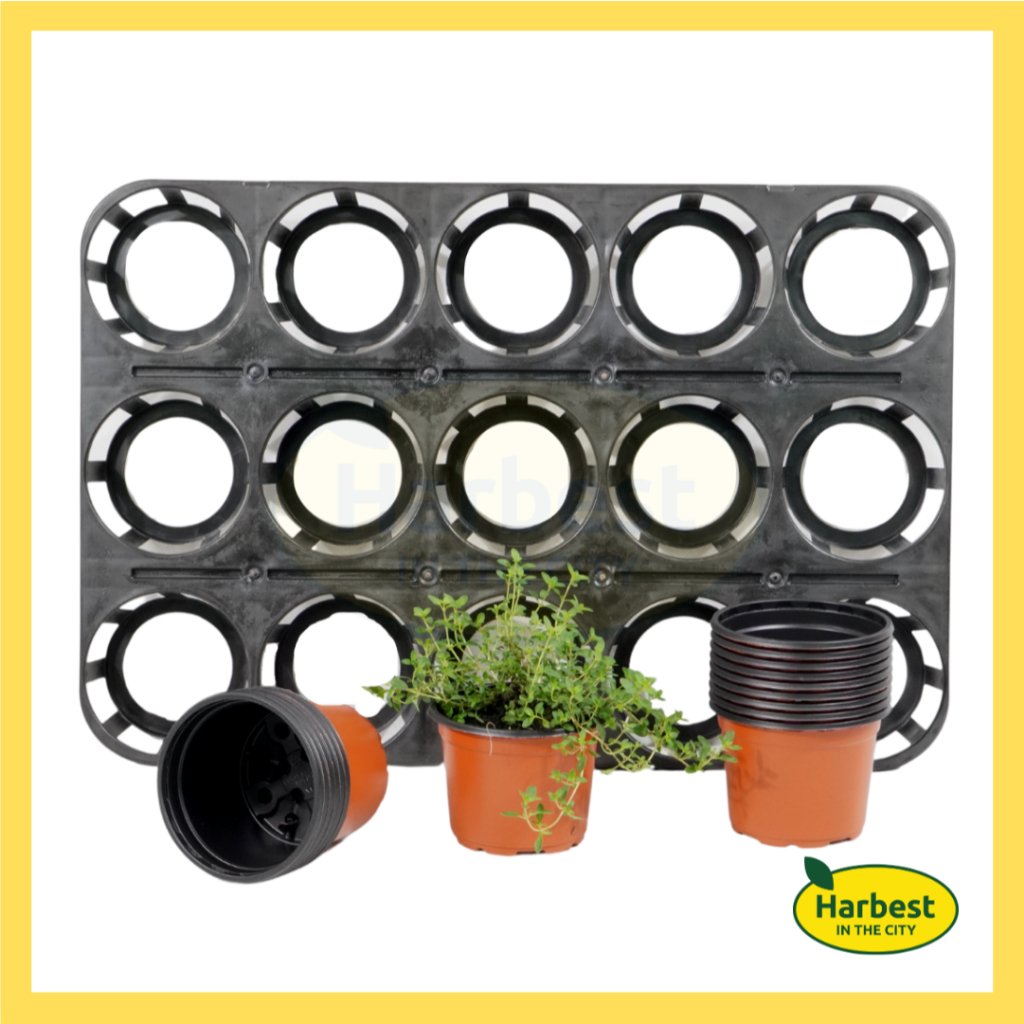 Ph 11134207 7rasl m8eetw99sk9907.jpeg