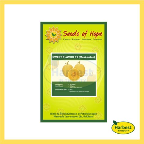 Ph 11134207 7rasl m8jvdk489pjy98.jpeg