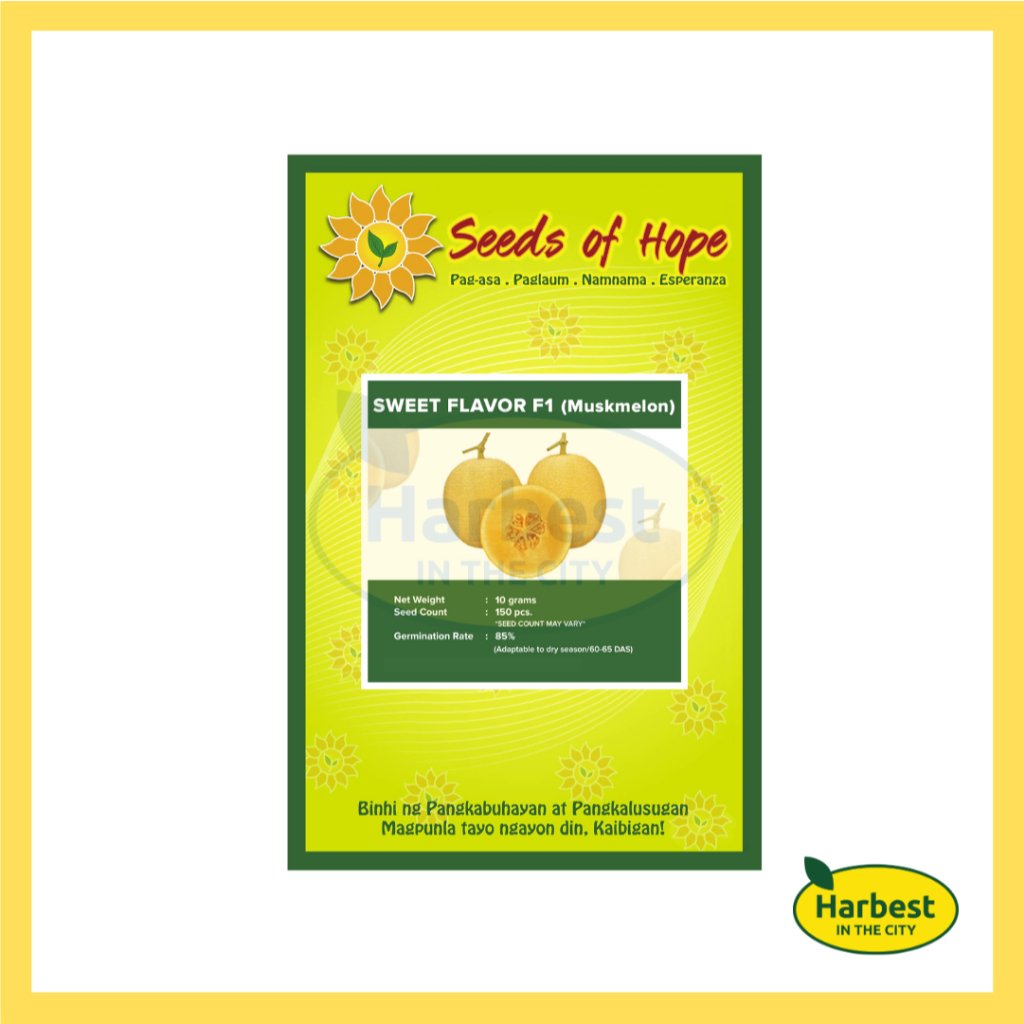 Ph 11134207 7rasl m8jvdk489pjy98.jpeg