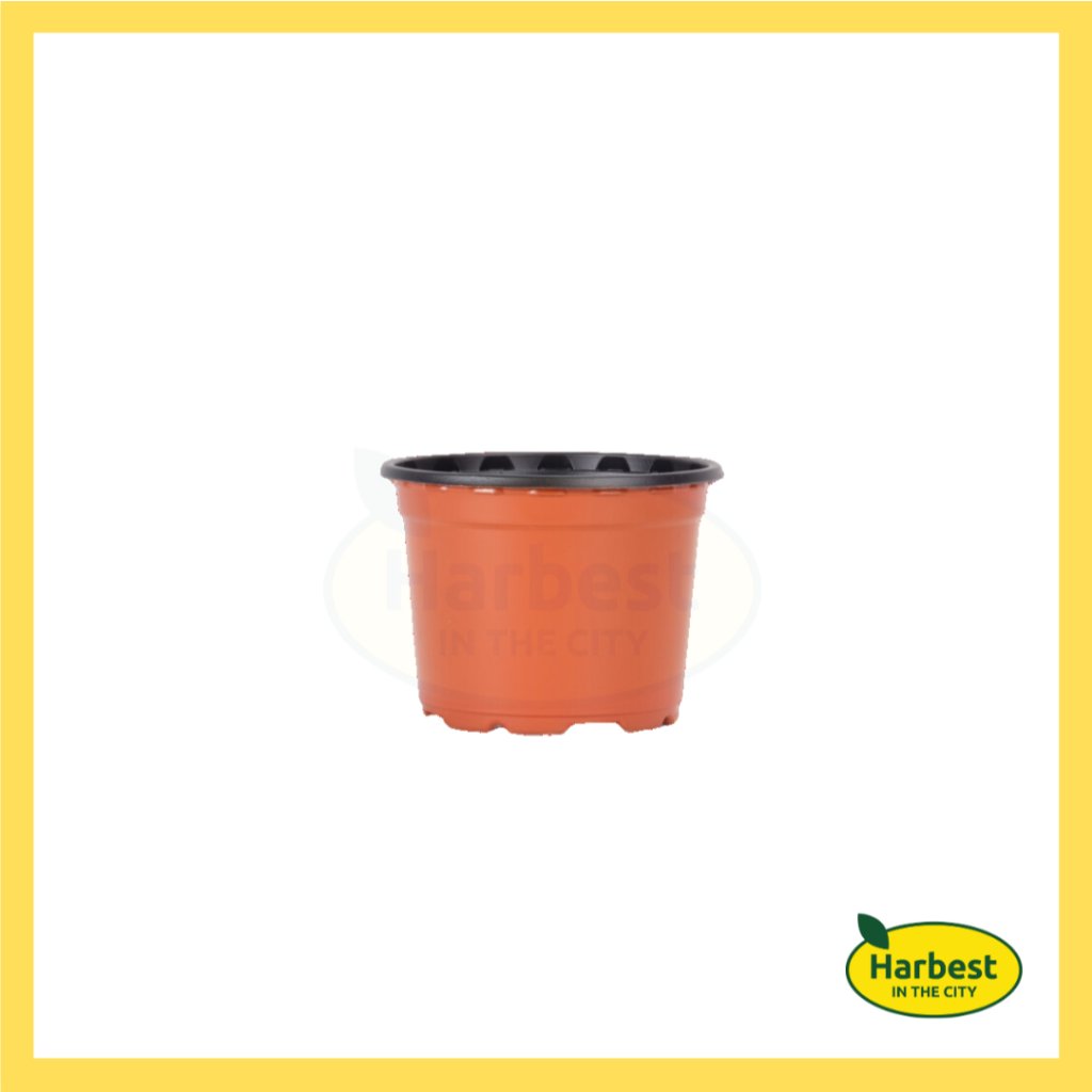 Ph 11134207 7rasl m8ykl5qep9cu5a.jpeg