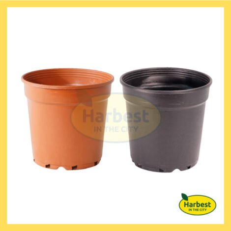 Ph 11134207 7rasl m944wji58nxv74.jpeg