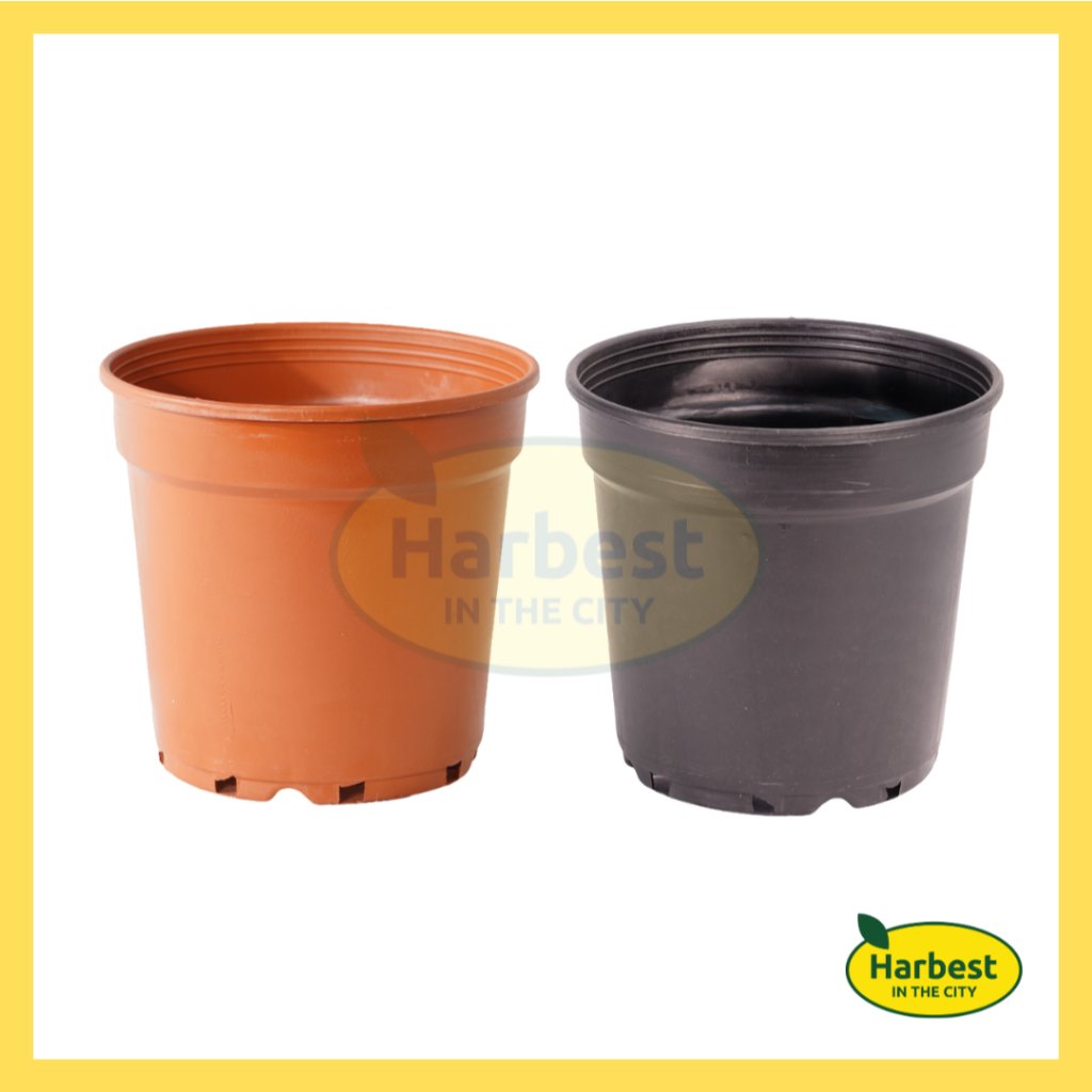 Ph 11134207 7rasl m944wji58nxv74.jpeg