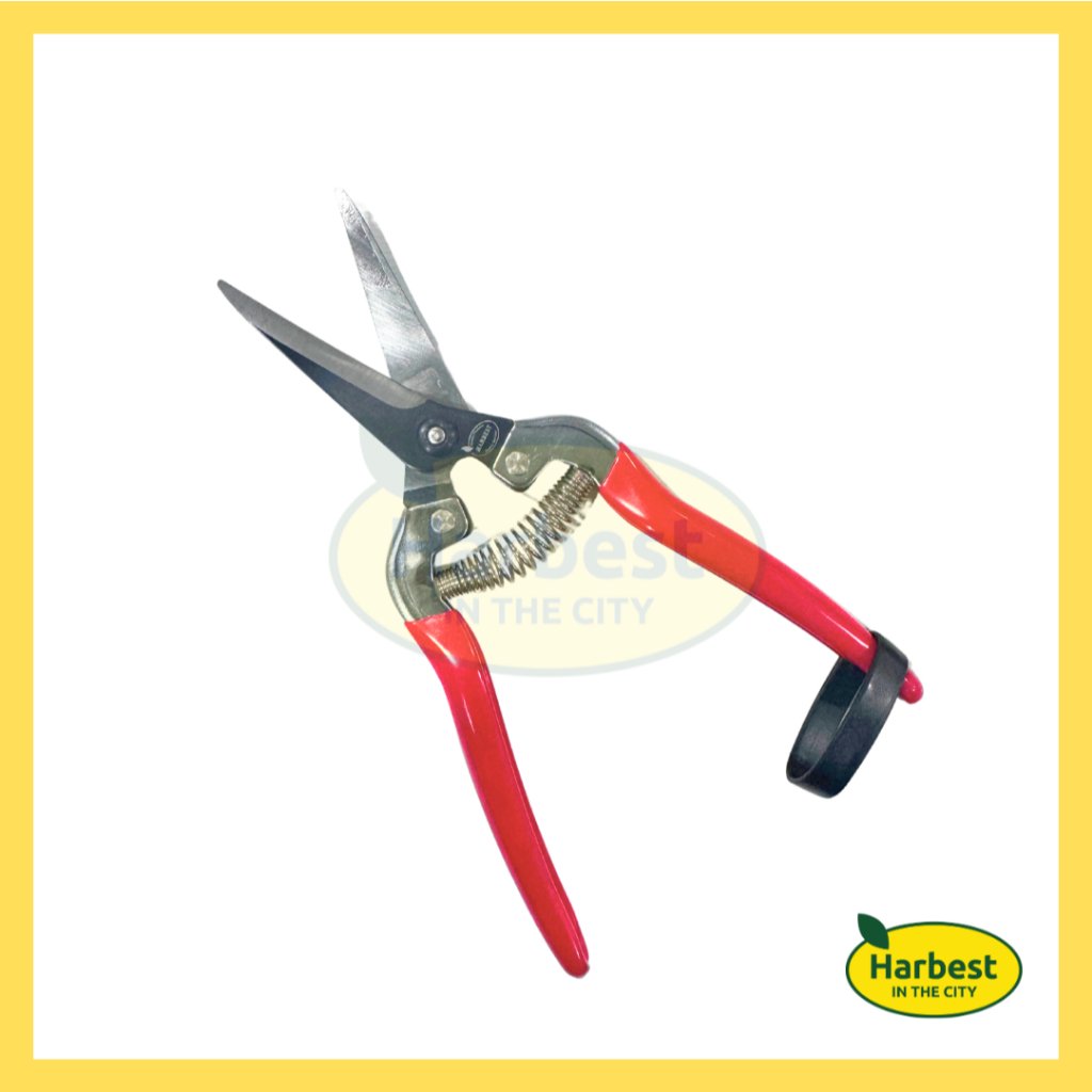 Ph 11134207 7rasl m9fdudycg09t61.jpeg