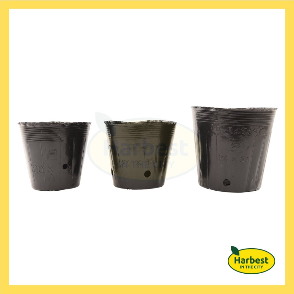 Ph 11134207 7rasm m3u42gi59la26c.jpeg