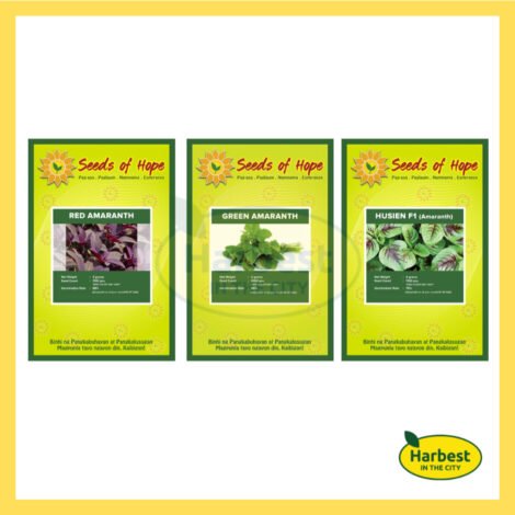 Ph 11134207 7rasm m3zsridfitwr13.jpeg