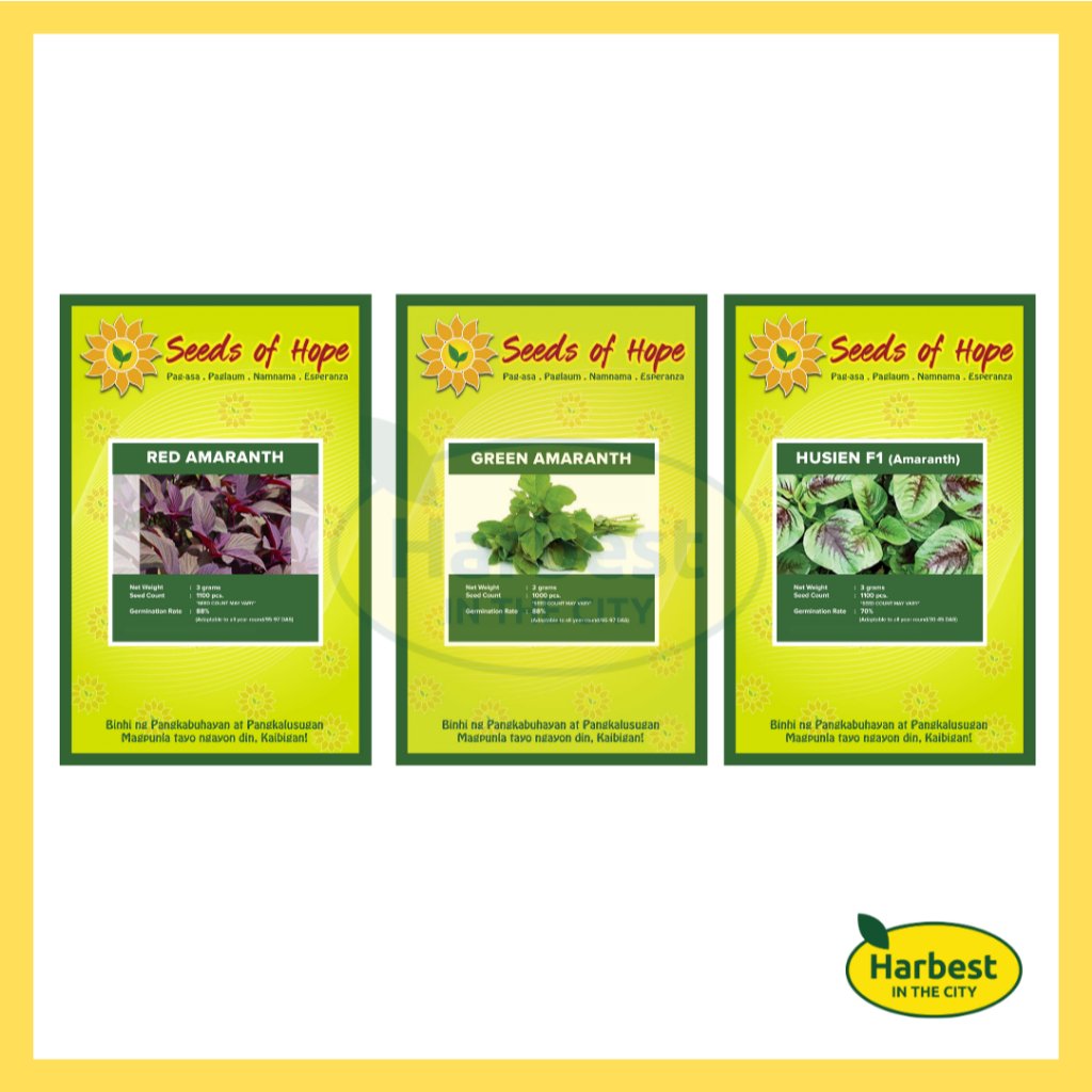 ph-11134207-7rasm-m3zsridfitwr13.jpeg Ph 11134207 7rasm m3zsridfitwr13.jpeg