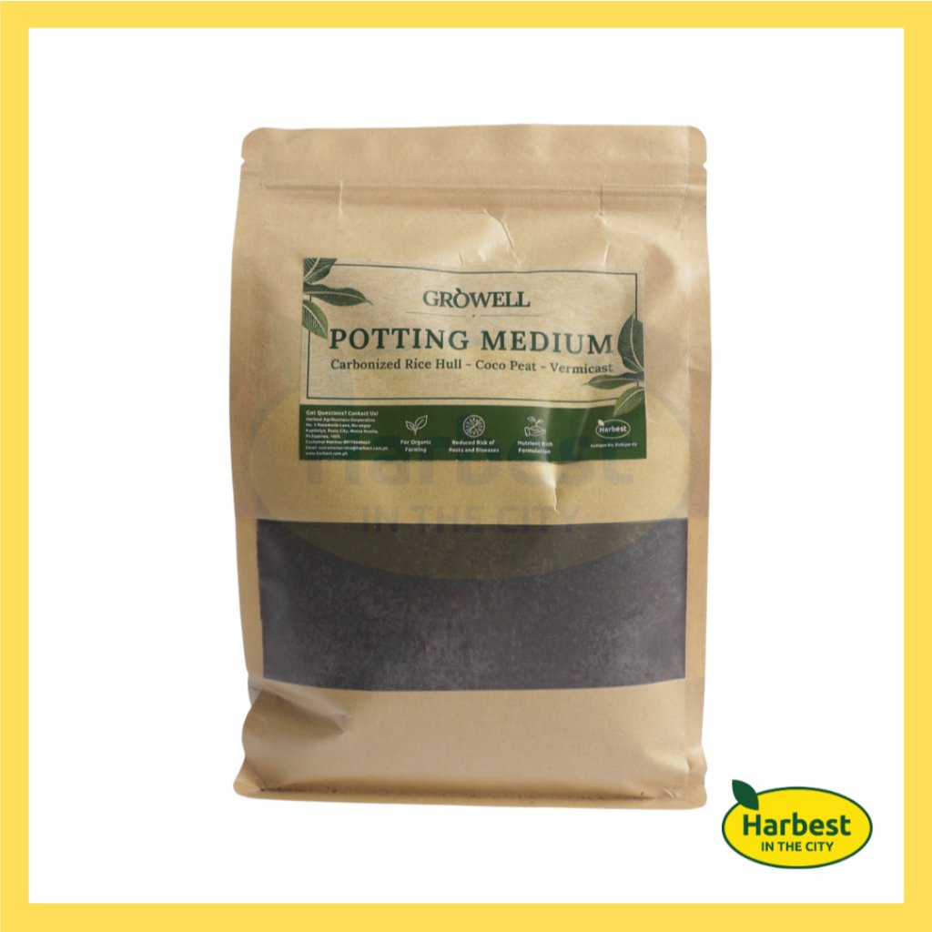 Ph 11134207 7rasm m4inkh6m1trt3f.jpeg