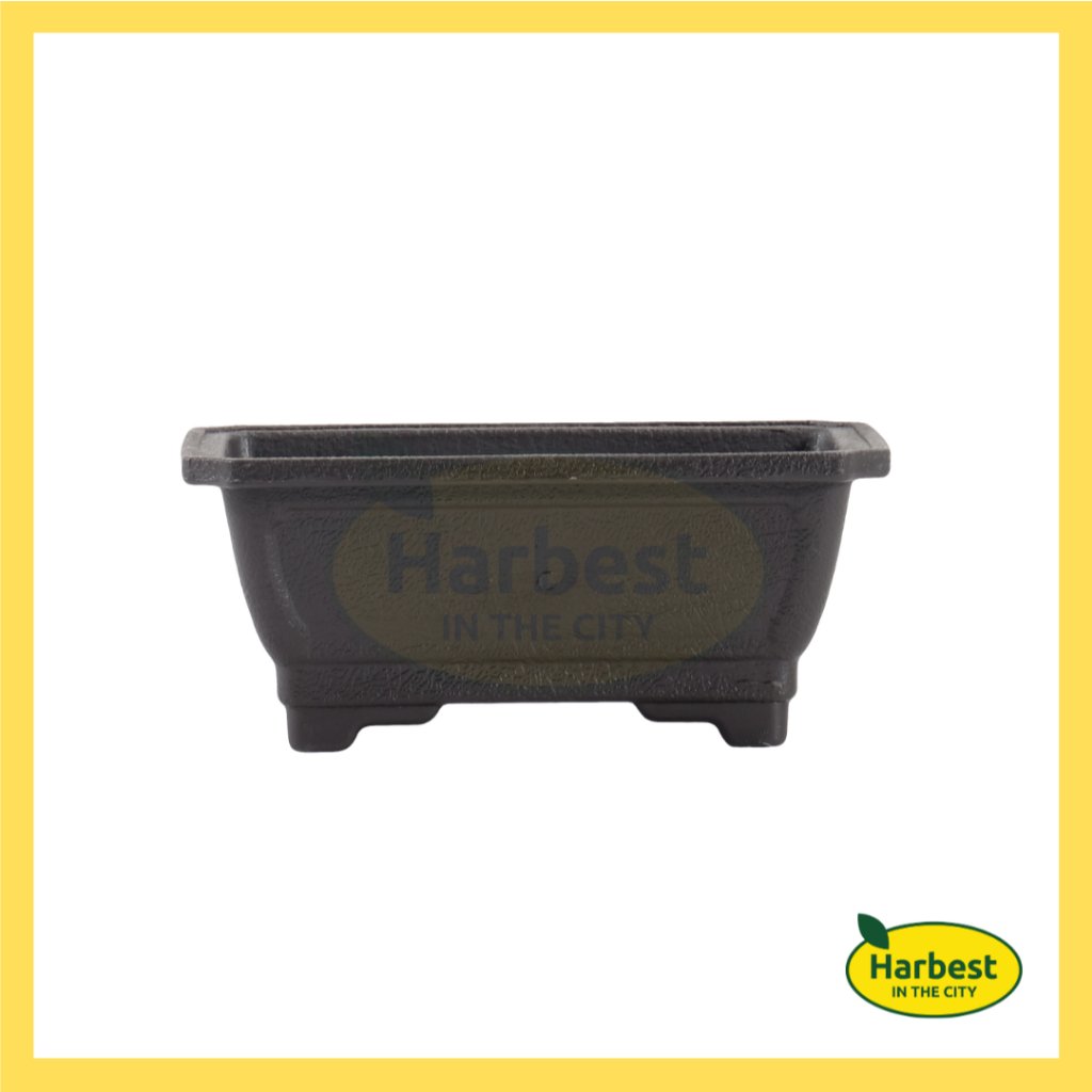 Ph 11134207 7rasm m53wbwjra13ube.jpeg