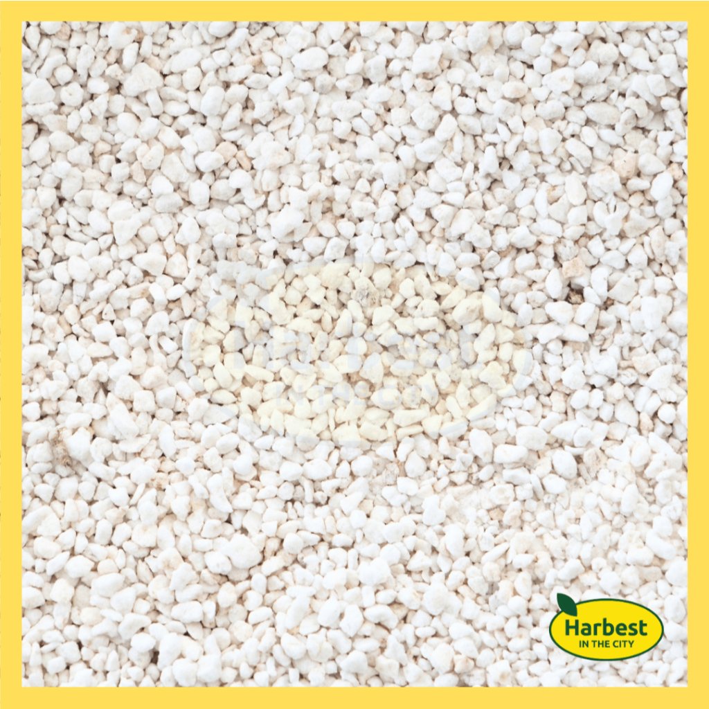 ph-11134207-7rasm-m5b7wriujk8z49.jpeg Ph 11134207 7rasm m5b7wriujk8z49.jpeg