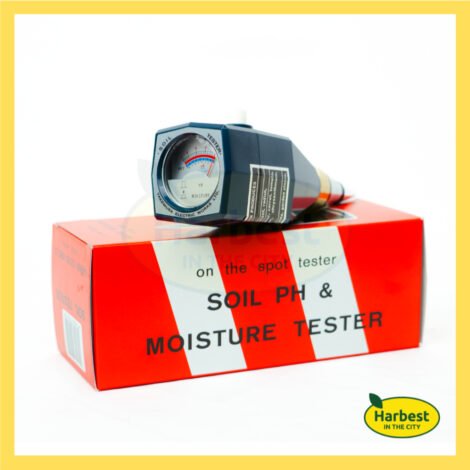 Ph 11134207 7rasm m71nzvuycatp2d.jpeg