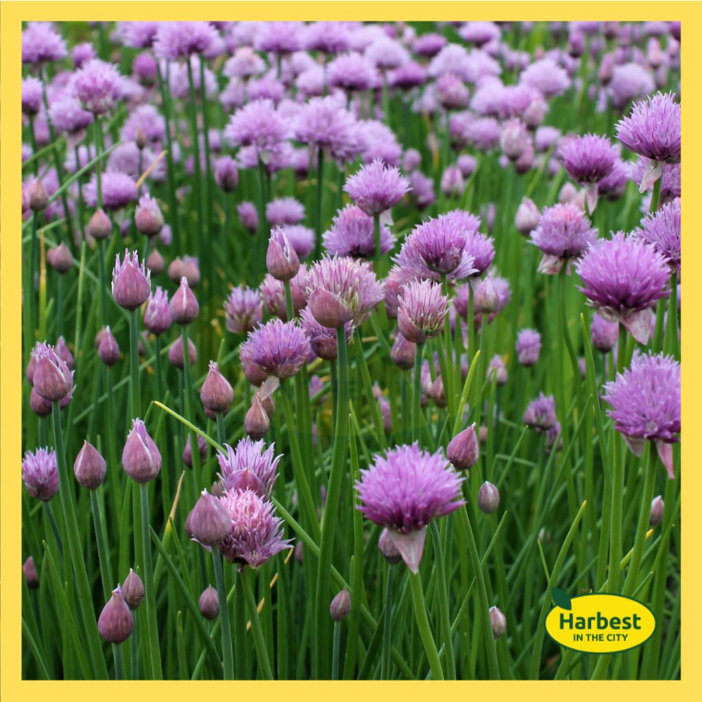 Ph 11134207 7rasm m8e6pdlo4tb516.jpeg