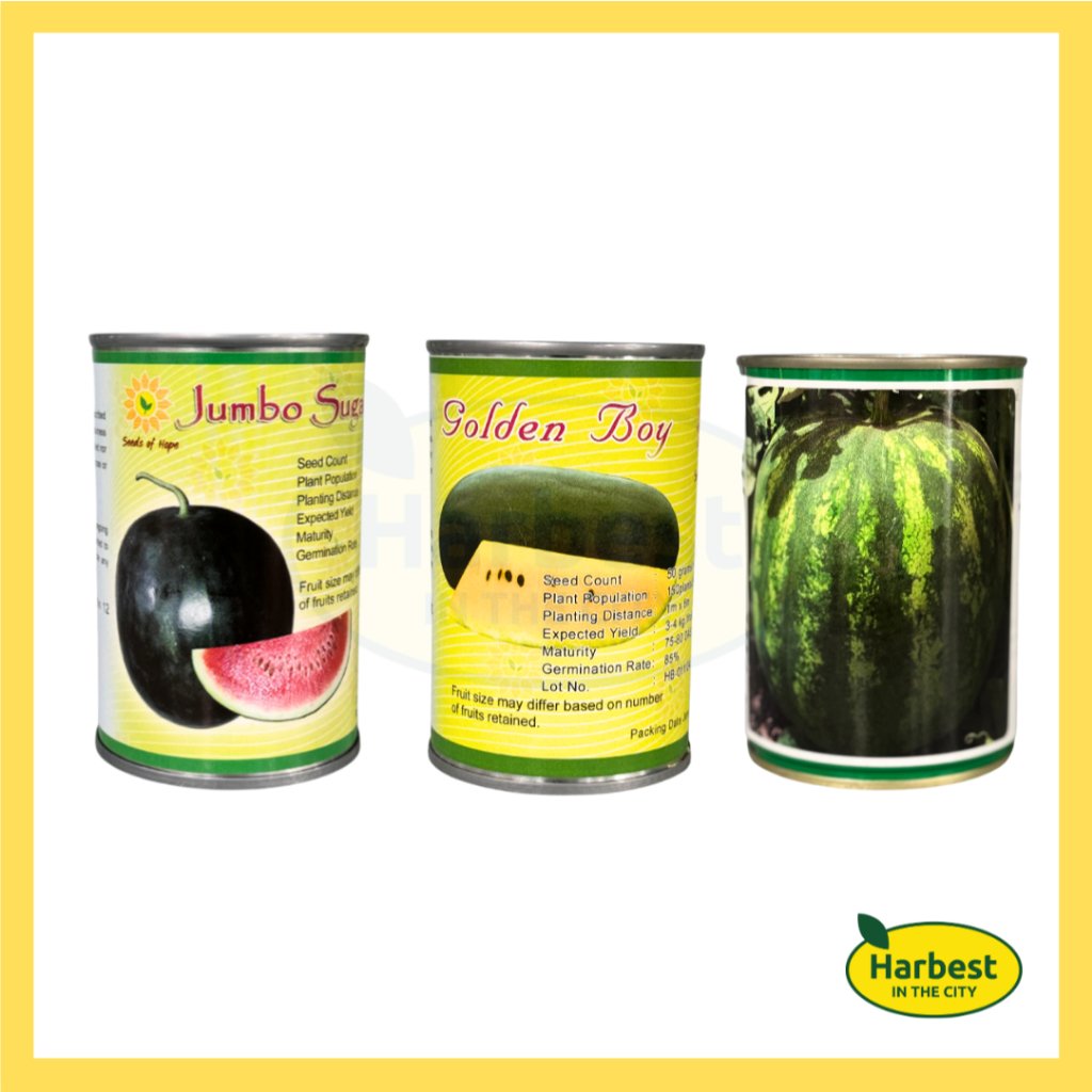 Ph 11134207 7rasm m8e8ox2d95bnd3.jpeg