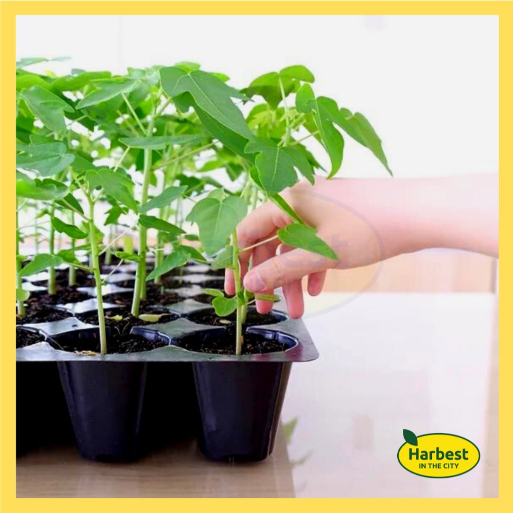 Ph 11134207 7rasm m8ei5ae1zwhfa7.jpeg